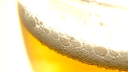 BIER, van prehistorie tot heden